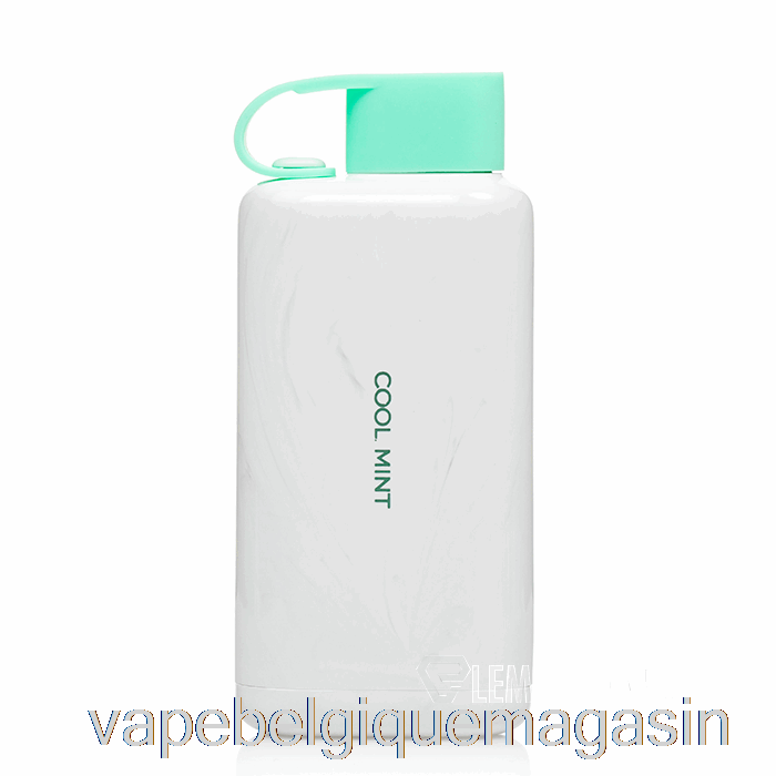 Vape Belgique Vozol Star 9000 Jetable Menthe Fraîche